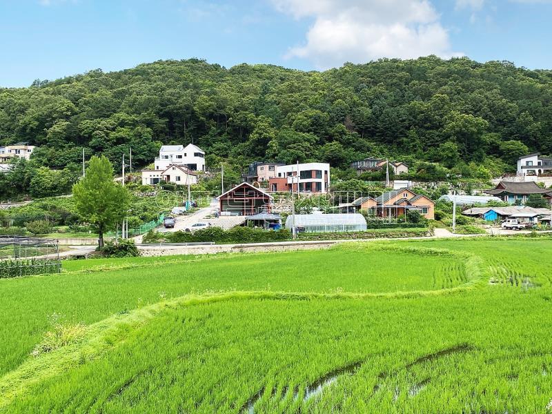 양평군 양서면 도곡리 농지_4